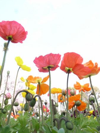 f:id:tateshima:20110331142049j:image f:id:tateshima:20110331142049j:image