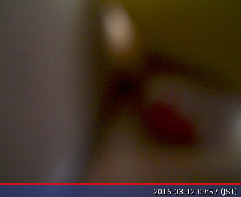 f:id:tatsu-n:20160312095830j:plain f:id:tatsu-n:20160312095830j:plain