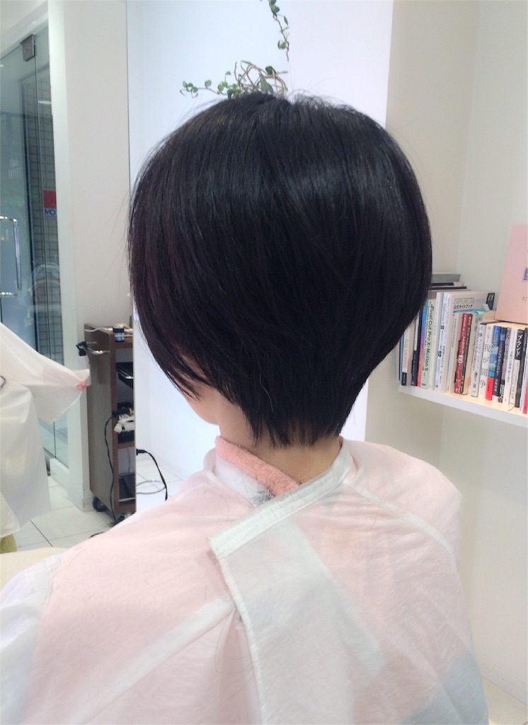 f:id:tatsuya7110:20160320205244j:image f:id:tatsuya7110:20160320205244j:image