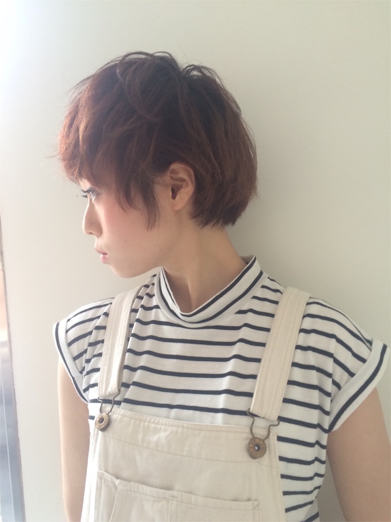 f:id:tatsuya7110:20160326111430j:image f:id:tatsuya7110:20160326111430j:image