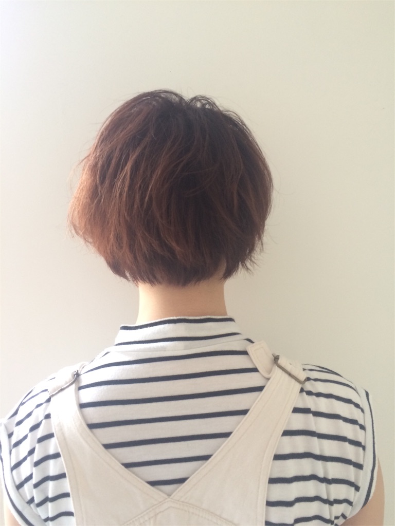 f:id:tatsuya7110:20160326111536j:image f:id:tatsuya7110:20160326111536j:image