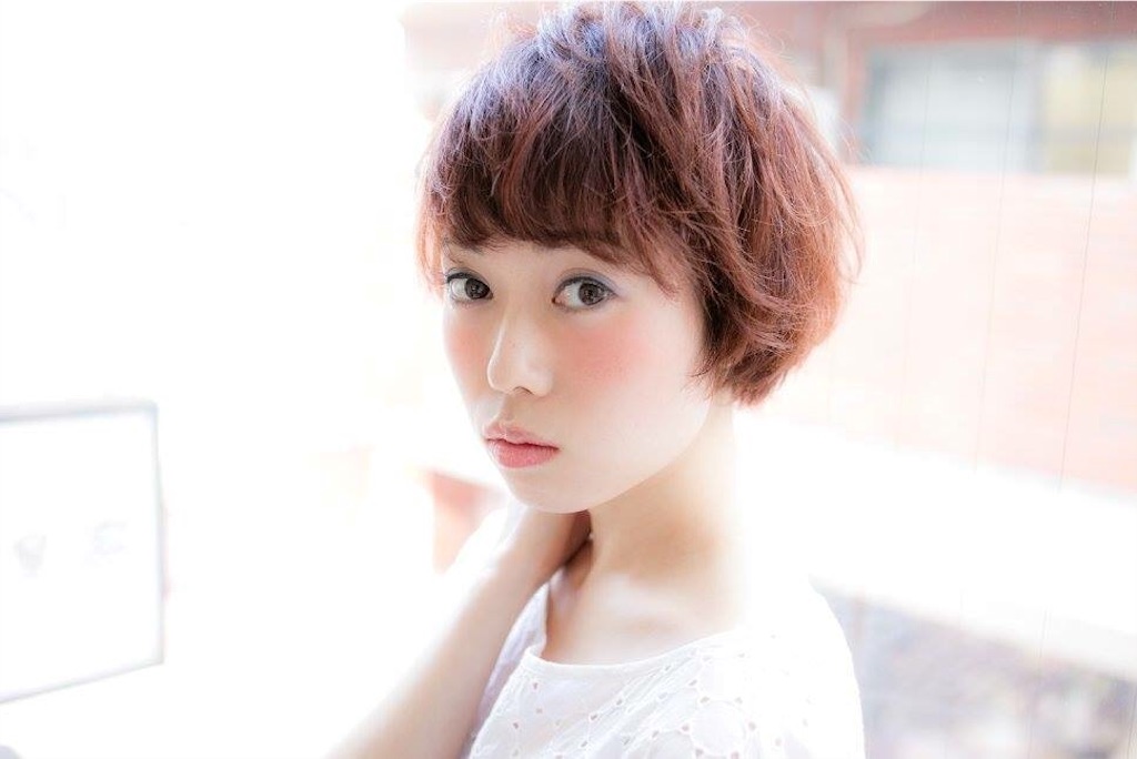 f:id:tatsuya7110:20160326111755j:image f:id:tatsuya7110:20160326111755j:image