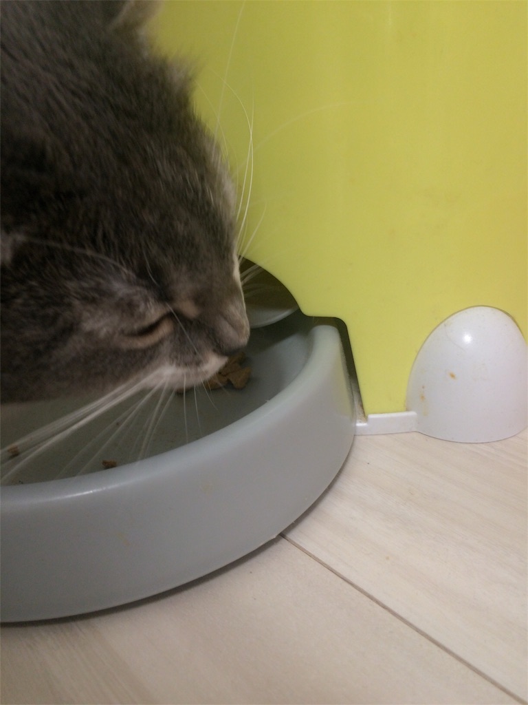 f:id:tatsuya7110:20160328122942j:image f:id:tatsuya7110:20160328122942j:image