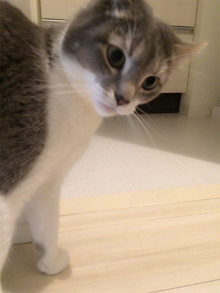 f:id:tatsuya7110:20160422225048j:image f:id:tatsuya7110:20160422225048j:image