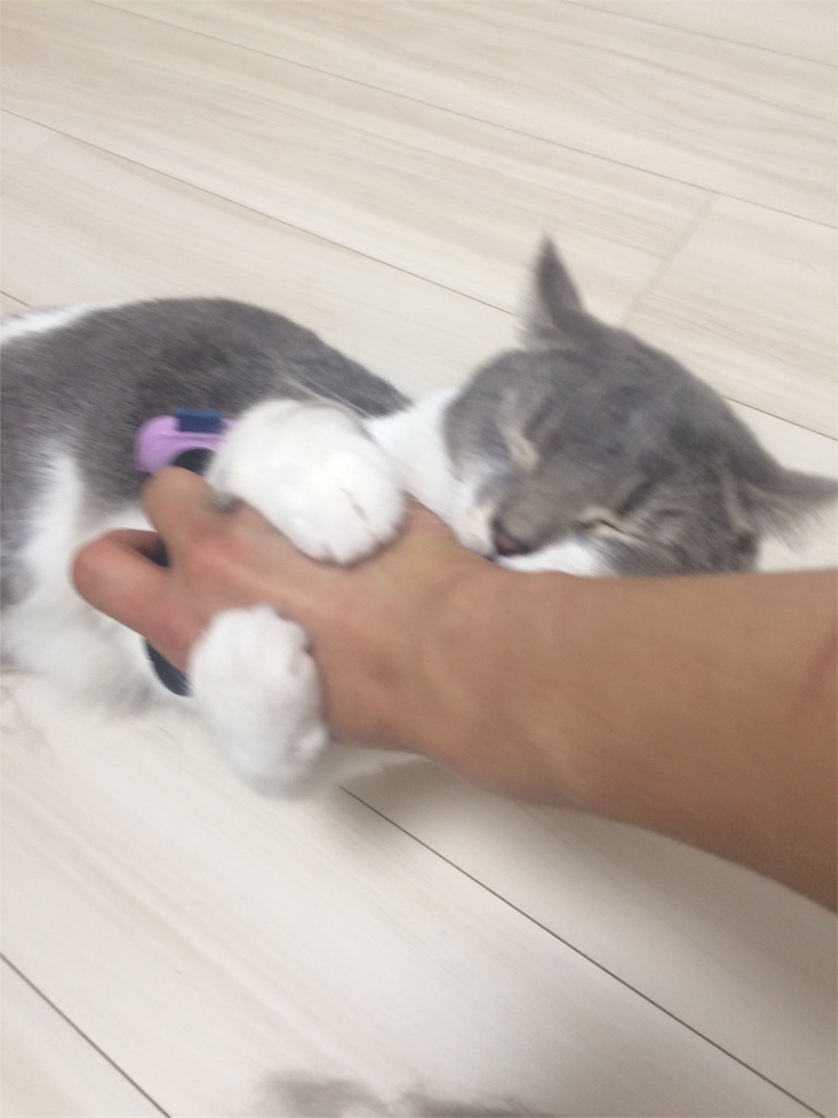 f:id:tatsuya7110:20160424010448j:image f:id:tatsuya7110:20160424010448j:image