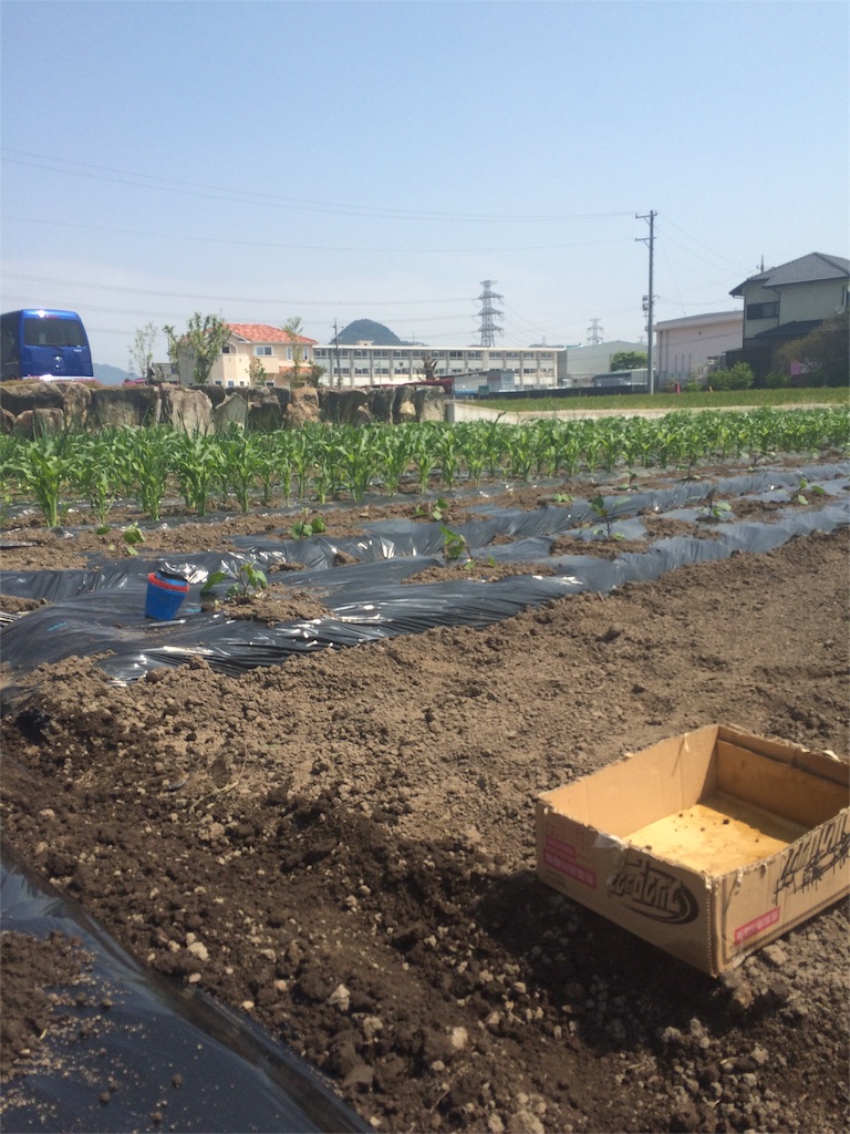 f:id:tatsuya7110:20160506012857j:image f:id:tatsuya7110:20160506012857j:image