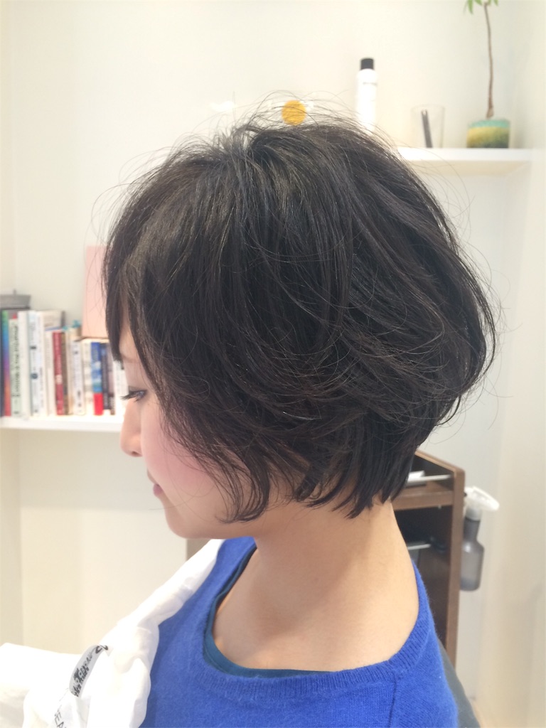 f:id:tatsuya7110:20160515013859j:image f:id:tatsuya7110:20160515013859j:image