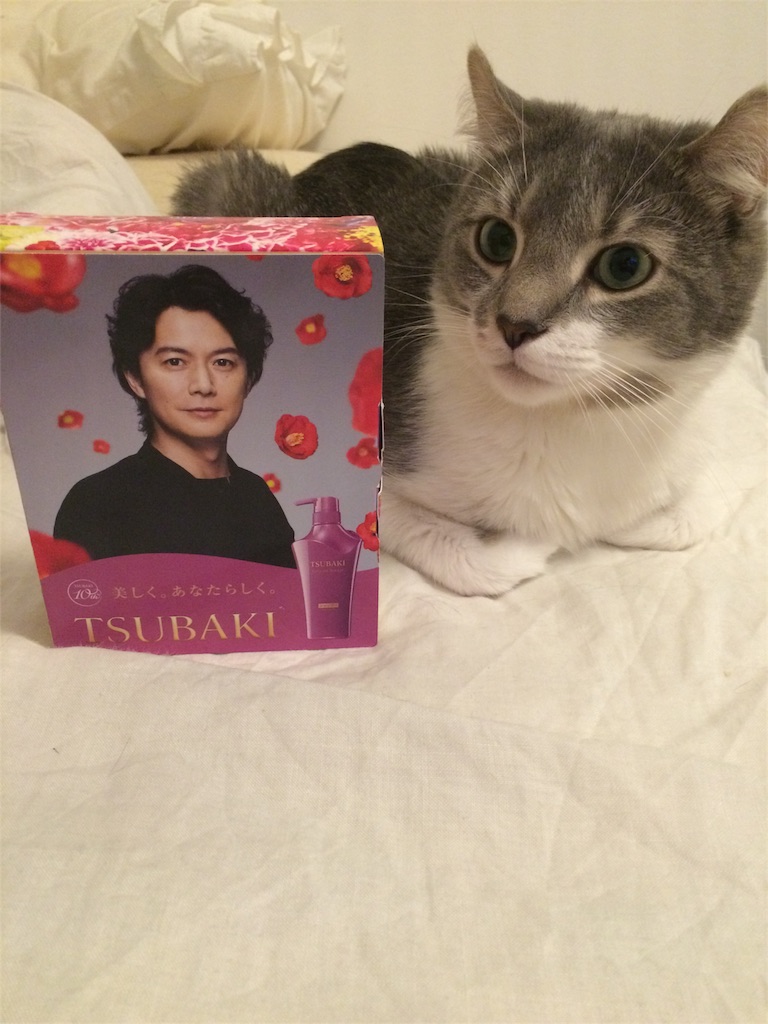 f:id:tatsuya7110:20160523002810j:image f:id:tatsuya7110:20160523002810j:image