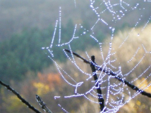 f:id:tbpg:20150620032802j:plain f:id:tbpg:20150620032802j:plain