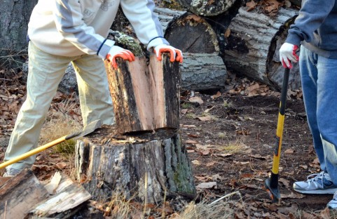 f:id:tbpg:20150721222819j:plain f:id:tbpg:20150721222819j:plain