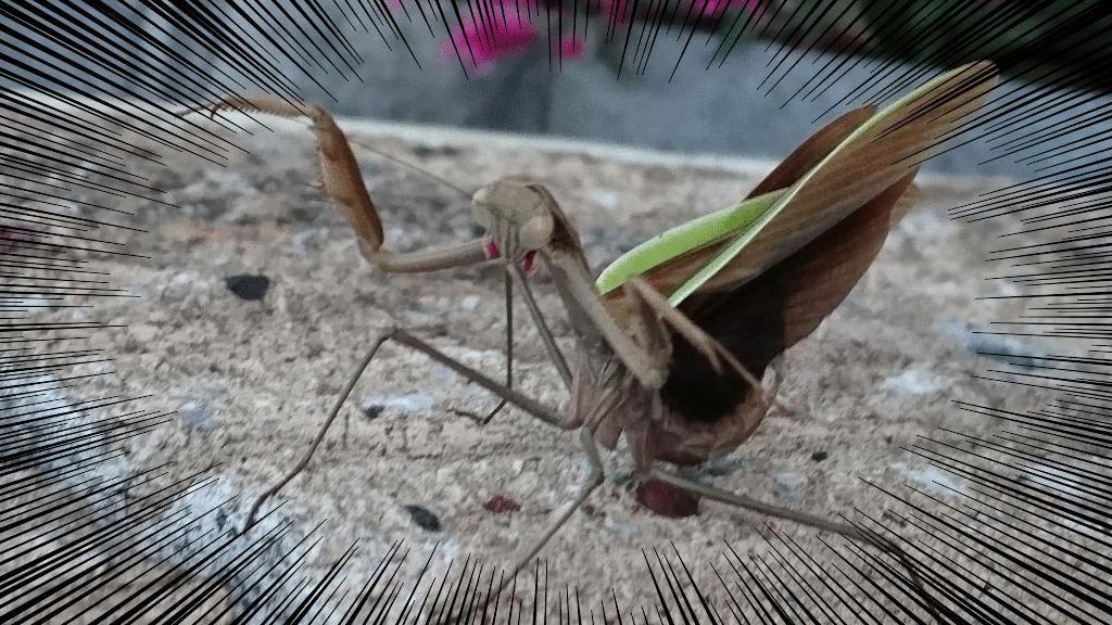 f:id:tbpg:20151218002651g:plain