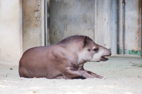 f:id:tbpg:20160213010542j:plain