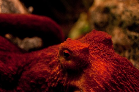 f:id:tbpg:20160219022709j:plain f:id:tbpg:20160219022709j:plain