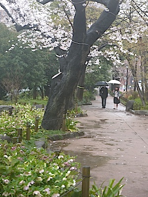 f:id:tcho5397:20140330130043j:plain f:id:tcho5397:20140330130043j:plain