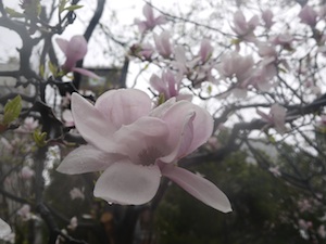 f:id:tcho5397:20140330131032j:plain f:id:tcho5397:20140330131032j:plain