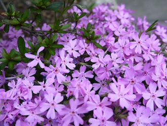 f:id:tcho5397:20140420164045j:plain f:id:tcho5397:20140420164045j:plain
