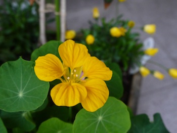 f:id:tcho5397:20140420164832j:plain f:id:tcho5397:20140420164832j:plain