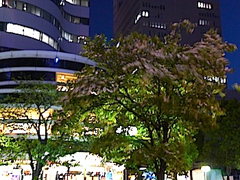 f:id:tcho5397:20140427190110j:plain f:id:tcho5397:20140427190110j:plain