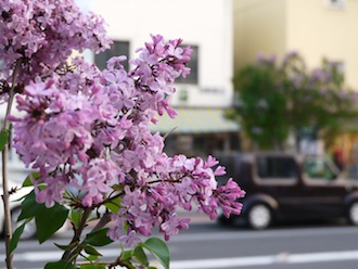f:id:tcho5397:20140503181952j:plain f:id:tcho5397:20140503181952j:plain