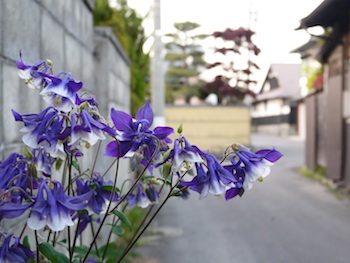 f:id:tcho5397:20140503183045j:plain f:id:tcho5397:20140503183045j:plain