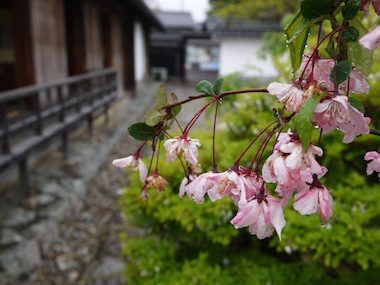 f:id:tcho5397:20140505143216j:plain f:id:tcho5397:20140505143216j:plain