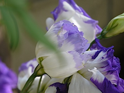 f:id:tcho5397:20140615161703j:plain f:id:tcho5397:20140615161703j:plain