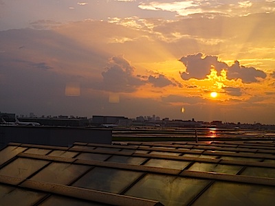 f:id:tcho5397:20140727183042j:plain f:id:tcho5397:20140727183042j:plain