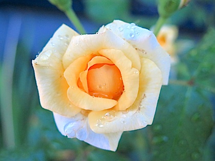 f:id:tcho5397:20140809182604j:plain f:id:tcho5397:20140809182604j:plain