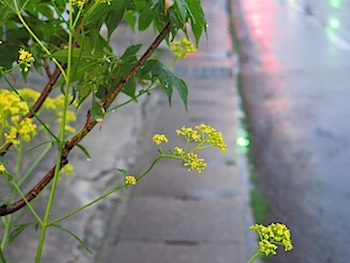 f:id:tcho5397:20140809183042j:plain f:id:tcho5397:20140809183042j:plain