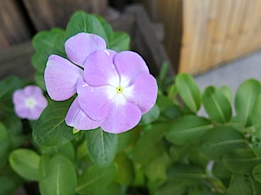 f:id:tcho5397:20140928140553j:plain f:id:tcho5397:20140928140553j:plain