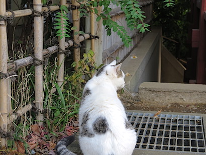 f:id:tcho5397:20141214143754j:plain f:id:tcho5397:20141214143754j:plain