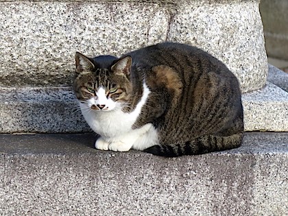 f:id:tcho5397:20141214144006j:plain f:id:tcho5397:20141214144006j:plain