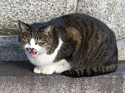 f:id:tcho5397:20141214144013j:plain f:id:tcho5397:20141214144013j:plain