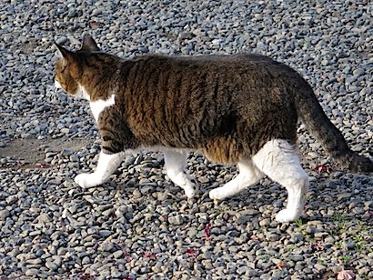 f:id:tcho5397:20141214144034j:plain