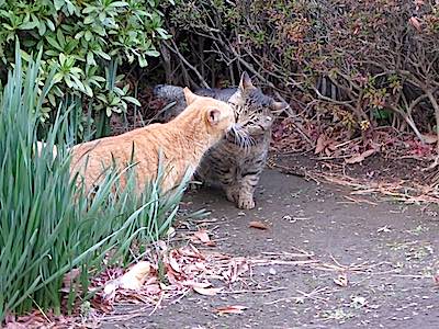 f:id:tcho5397:20141221161904j:plain f:id:tcho5397:20141221161904j:plain