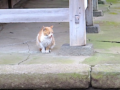 f:id:tcho5397:20141221161931j:plain f:id:tcho5397:20141221161931j:plain