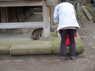 f:id:tcho5397:20141221161956j:plain f:id:tcho5397:20141221161956j:plain