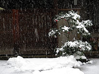 f:id:tcho5397:20150101130251j:plain f:id:tcho5397:20150101130251j:plain