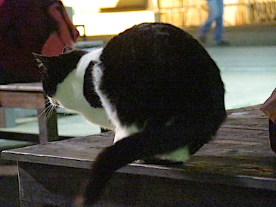 f:id:tcho5397:20150111175543j:plain