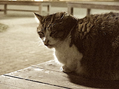 f:id:tcho5397:20150111175745j:plain