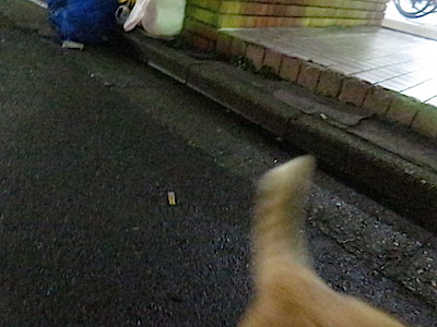 f:id:tcho5397:20150208180048j:plain f:id:tcho5397:20150208180048j:plain