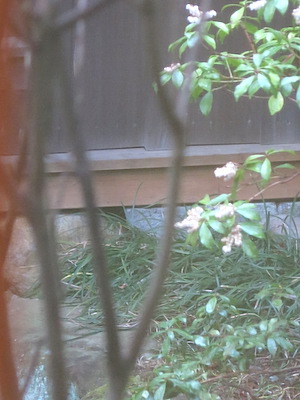 f:id:tcho5397:20150321123937j:plain f:id:tcho5397:20150321123937j:plain