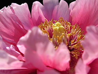 f:id:tcho5397:20150426131433j:plain f:id:tcho5397:20150426131433j:plain