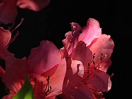 f:id:tcho5397:20150426142641j:plain f:id:tcho5397:20150426142641j:plain