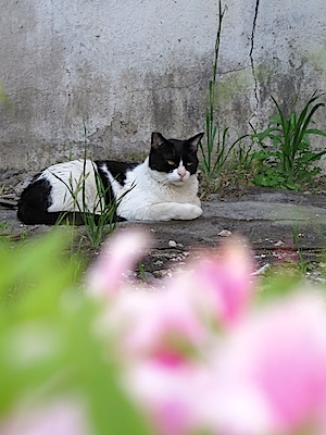f:id:tcho5397:20150426163857j:plain f:id:tcho5397:20150426163857j:plain
