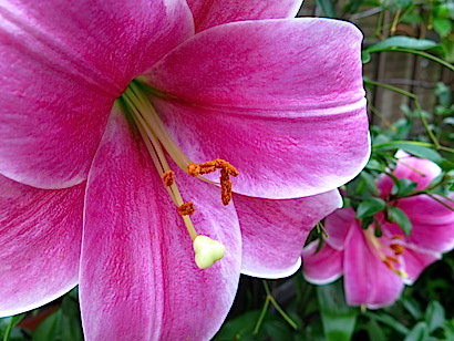 f:id:tcho5397:20150607160314j:plain f:id:tcho5397:20150607160314j:plain