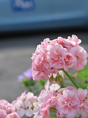 f:id:tcho5397:20150607161618j:plain f:id:tcho5397:20150607161618j:plain