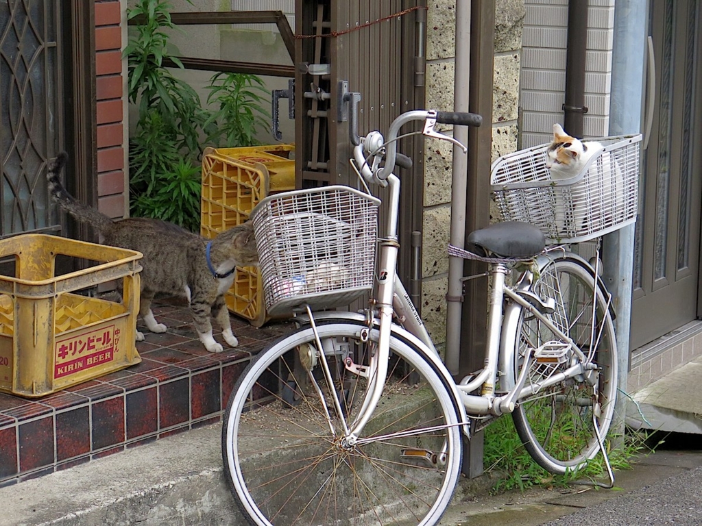 f:id:tcho5397:20150621161637j:plain f:id:tcho5397:20150621161637j:plain