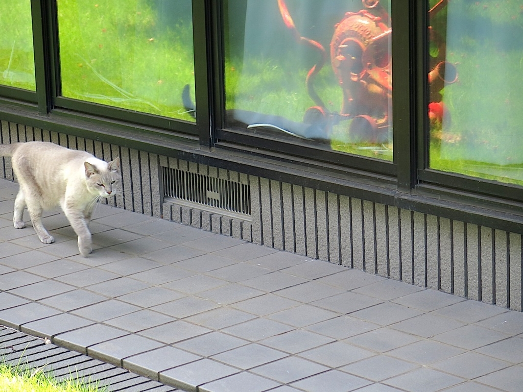 f:id:tcho5397:20150719131457j:plain f:id:tcho5397:20150719131457j:plain