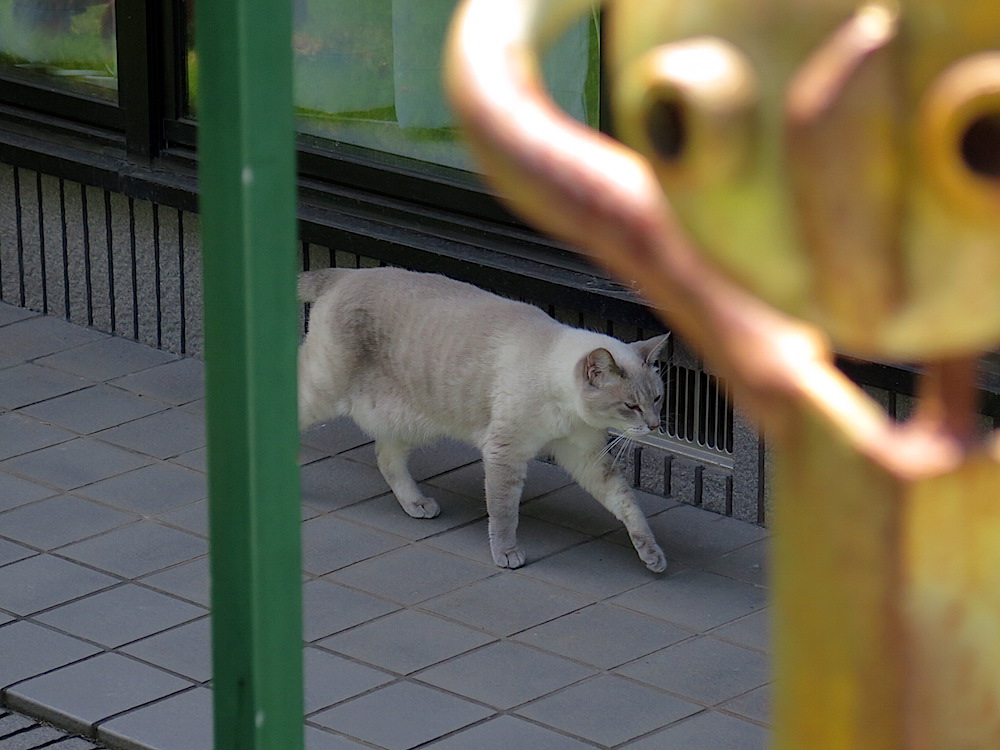 f:id:tcho5397:20150719131504j:plain f:id:tcho5397:20150719131504j:plain